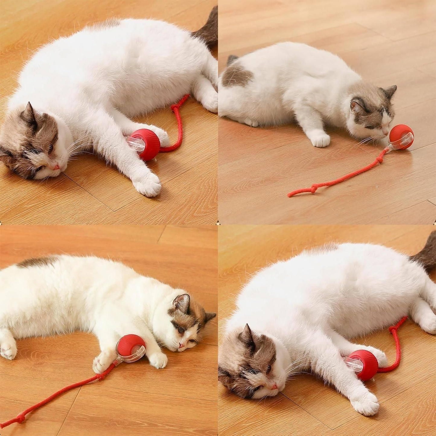 Interactive Rolling Toy For Cat | Interactives Toy Electric 360° Smart Automatic Rollings Pet Balls | Interactives Rollings Cat Balls